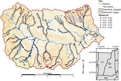 Mineral Weathering and Podzolization Control Acid Neutralization and Streamwater Chemistry Gradients in Upland Glaciated Catchments, Northeastern United States